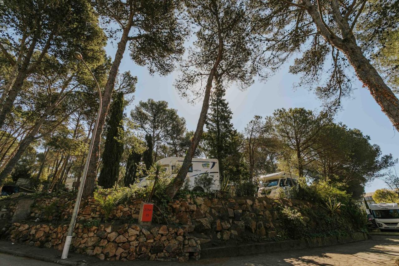 Camping Santa Elena